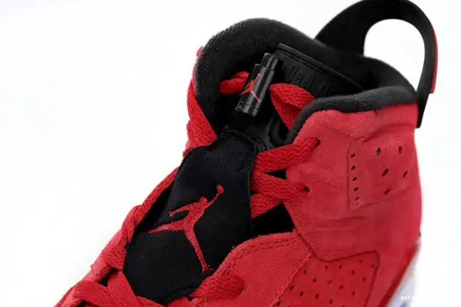 Rep Jordan 6 Toro Air CT8529-600 0603